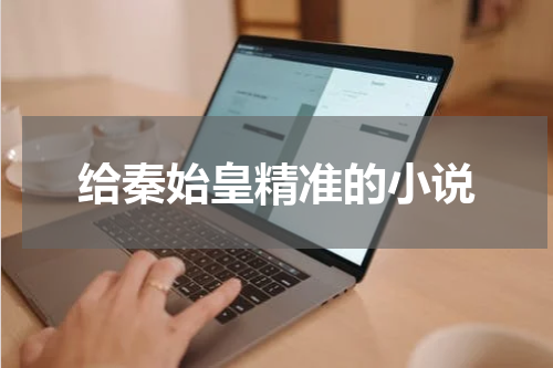 给秦始皇精准的小说