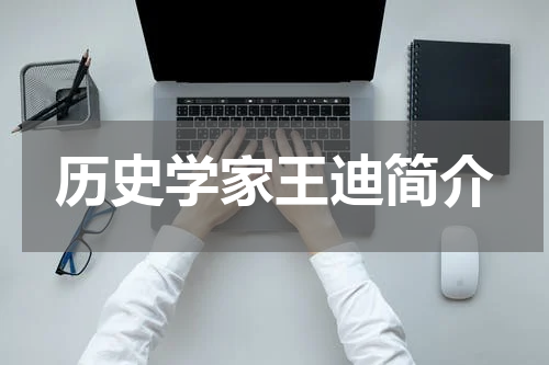 历史学家王迪简介