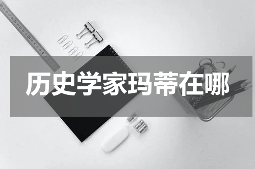 历史学家玛蒂在哪