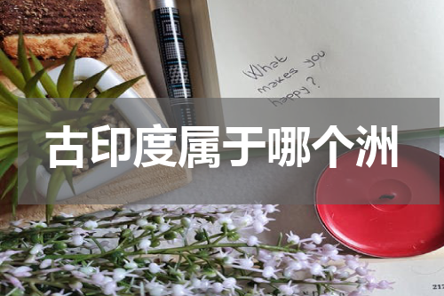 古印度属于哪个洲