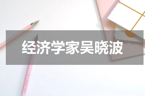 经济学家吴晓波