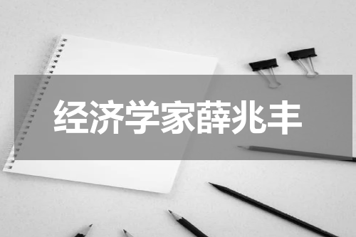 经济学家薛兆丰