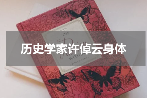 历史学家许倬云身体