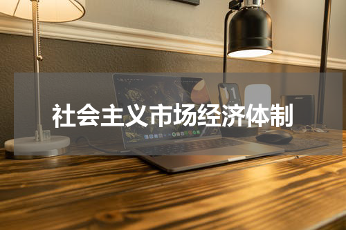 社会主义市场经济体制