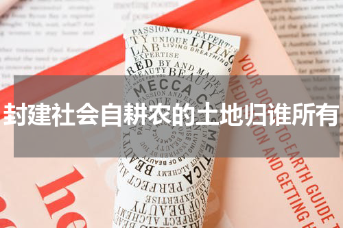封建社会自耕农的土地归谁所有