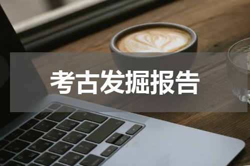 考古发掘报告