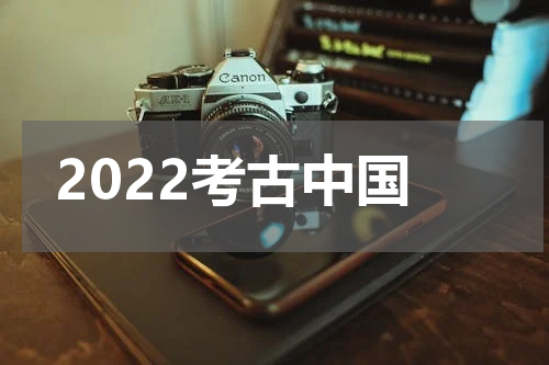 2022考古中国