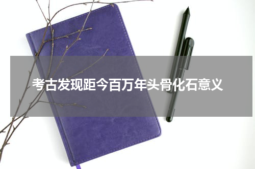 考古发现距今百万年头骨化石意义
