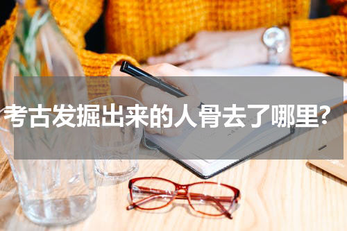 考古发掘出来的人骨去了哪里?