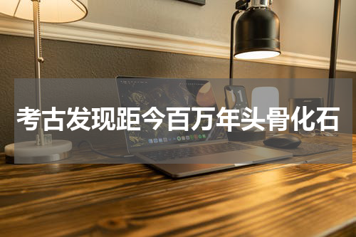 考古发现距今百万年头骨化石