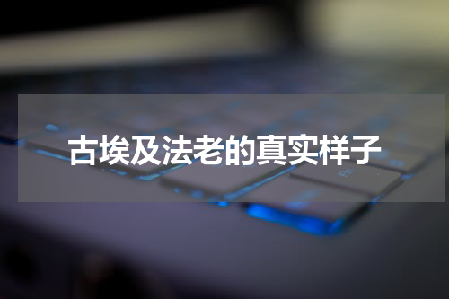 古埃及法老的真实样子