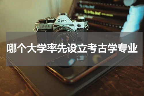 哪个大学率先设立考古学专业