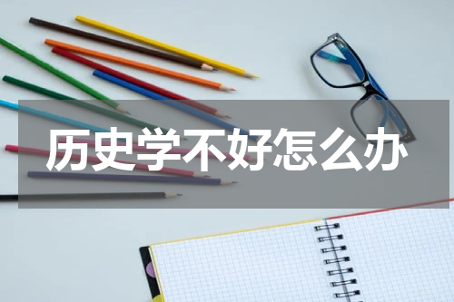 历史学不好怎么办