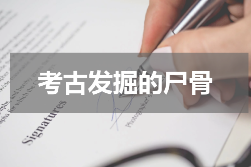 考古发掘的尸骨