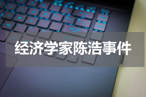 经济学家陈浩事件