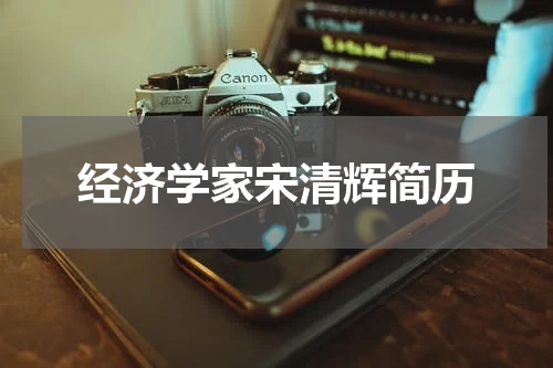 经济学家宋清辉简历