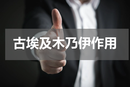 古埃及木乃伊作用