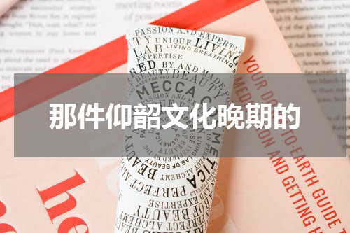 那件仰韶文化晚期的