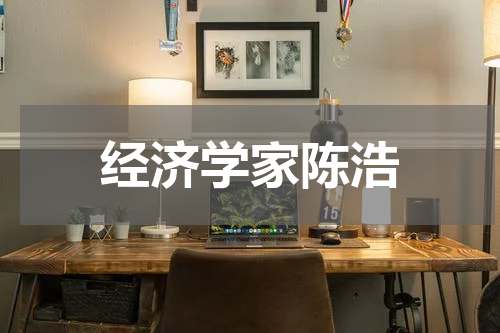 经济学家陈浩