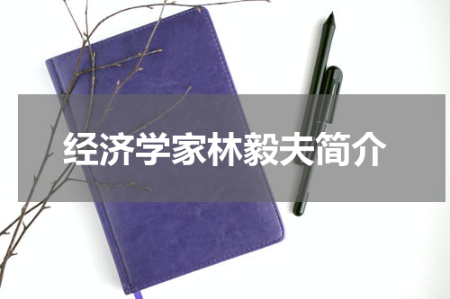 经济学家林毅夫简介