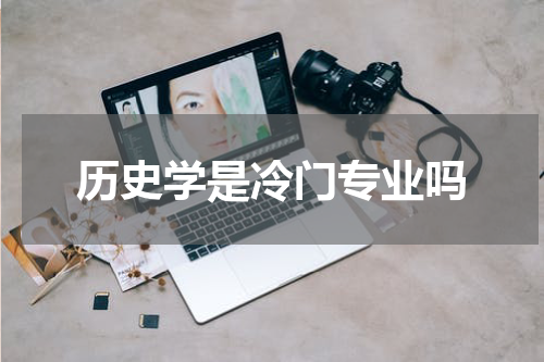 历史学是冷门专业吗