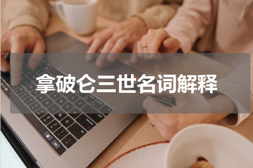 拿破仑三世名词解释