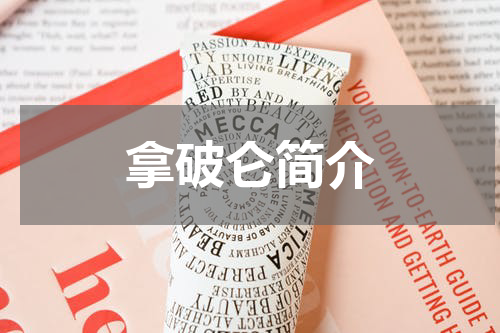 拿破仑简介