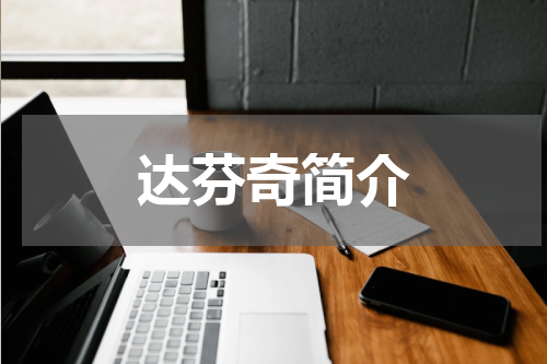 达芬奇简介