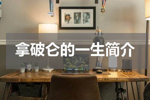 拿破仑的一生简介