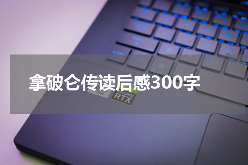 拿破仑传读后感300字