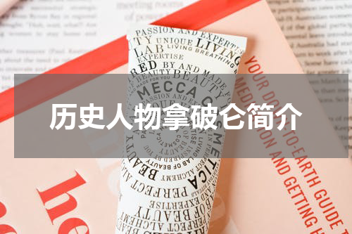 历史人物拿破仑简介
