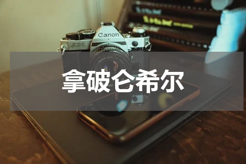 拿破仑希尔