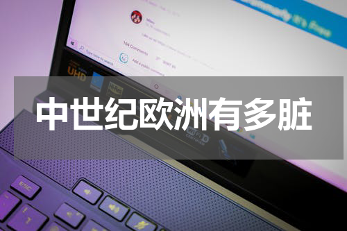 中世纪欧洲有多脏
