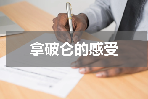 拿破仑的感受