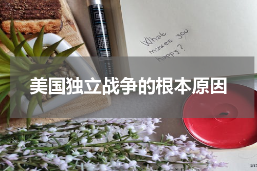 美国独立战争的根本原因