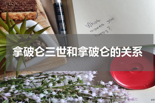 拿破仑三世和拿破仑的关系