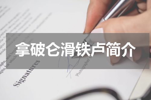 拿破仑滑铁卢简介