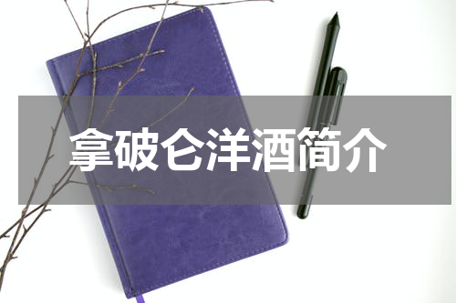 拿破仑洋酒简介