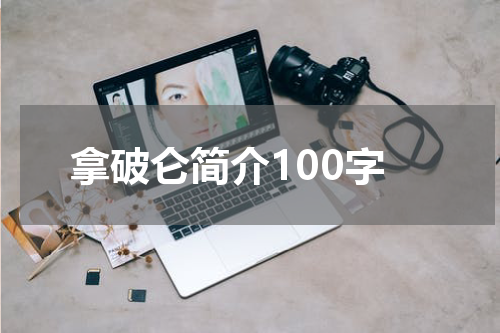 拿破仑简介100字