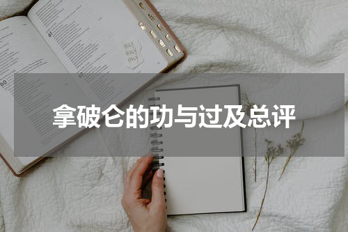 拿破仑的功与过及总评