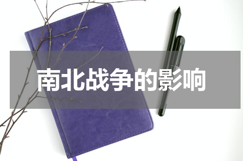 南北战争的影响