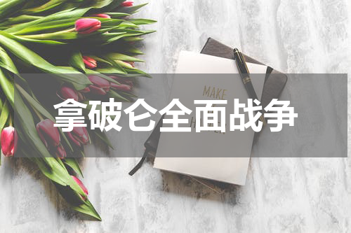 拿破仑全面战争