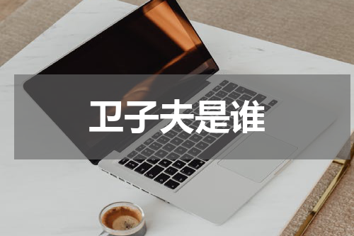 卫子夫是谁
