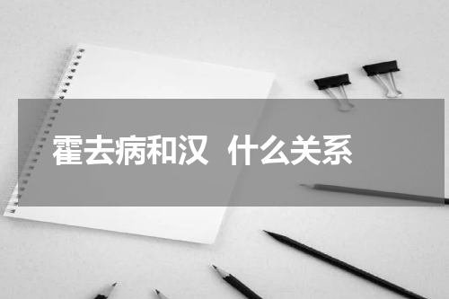 霍去病和汉  什么关系