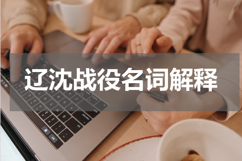 辽沈战役名词解释