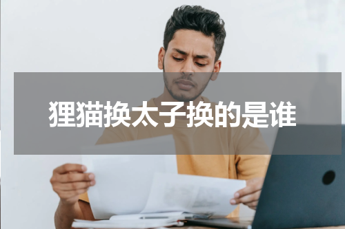 狸猫换太子换的是谁
