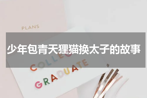 少年包青天狸猫换太子的故事