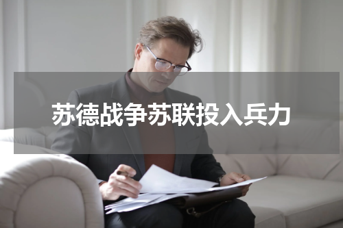 苏德战争苏联投入兵力