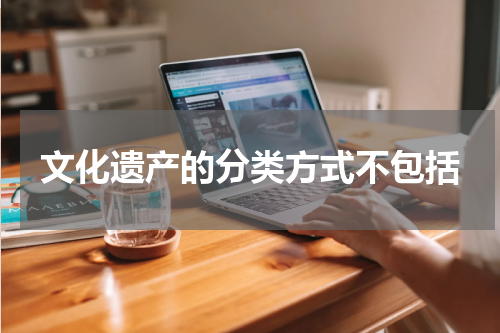 文化遗产的分类方式不包括