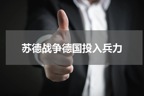 苏德战争德国投入兵力